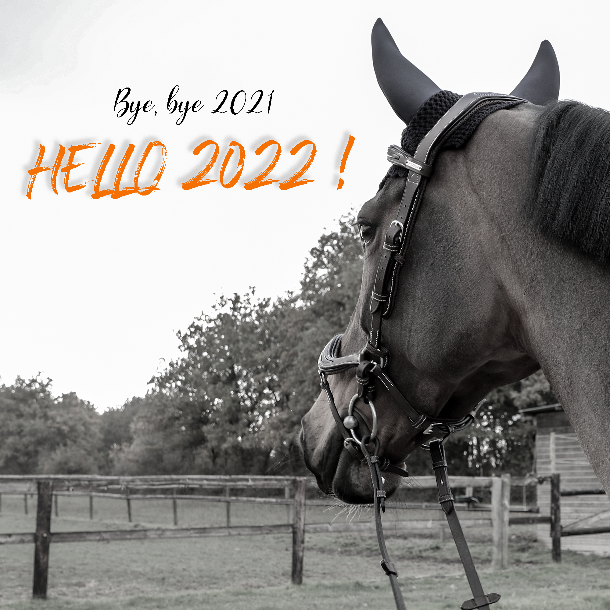 Bye, bye 2021, HELLO 2022 đ„ł