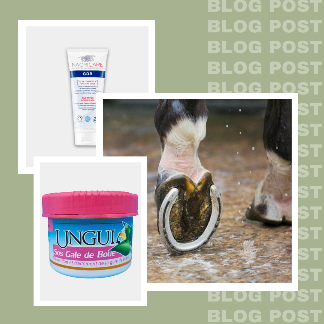 LUTER CONTRE LA GALE DE BOUE 🤕