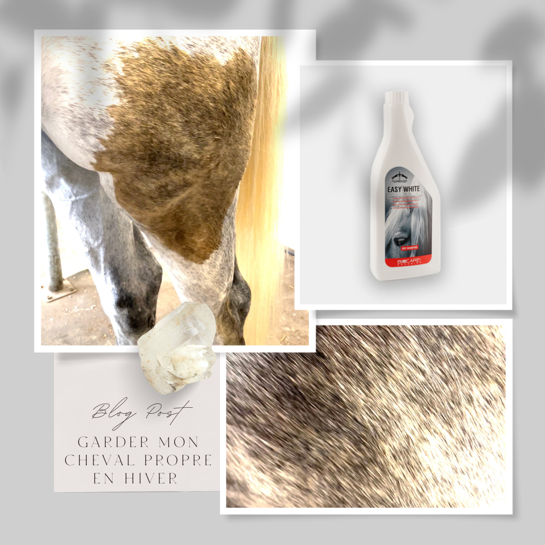 MON CHEVAL TOTALEMENT PROPRE, MÊME EN HIVER ? Oui, c'est largement possible 🥰