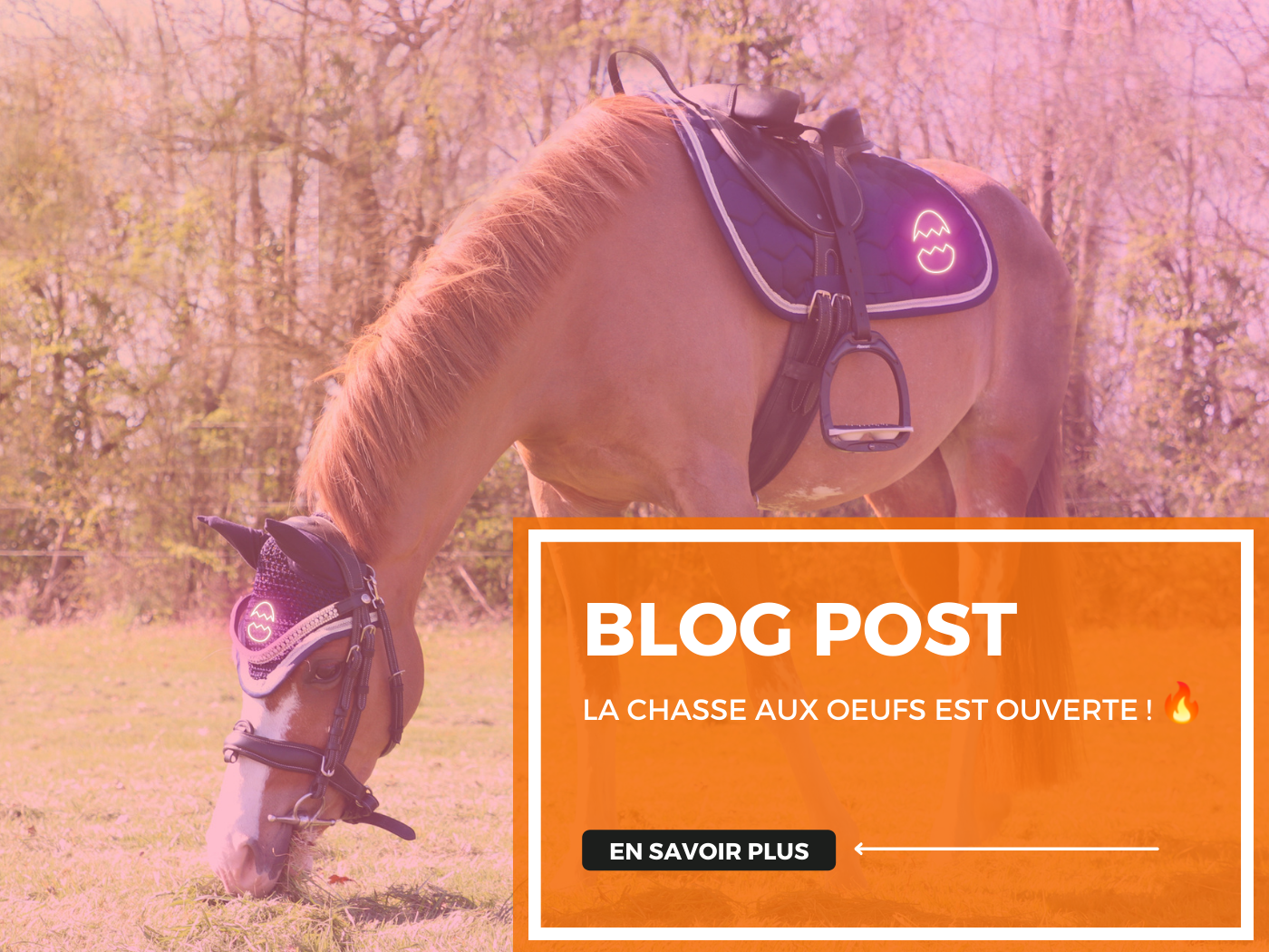 La chasse aux oeufs est ouverte ! đ„