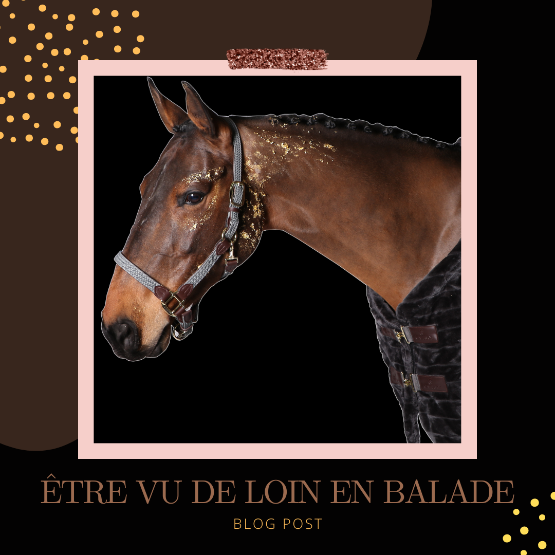 ĂTRE VU DANS LA NUIT ! đ