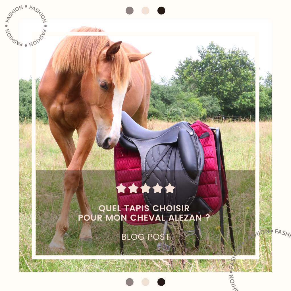 QuelTapisPour mon cheval Alezan