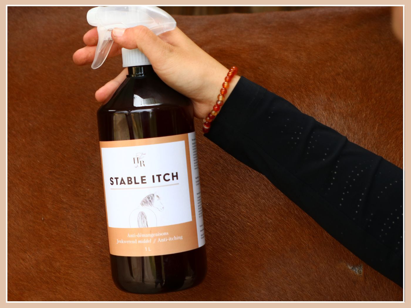 BIENVENUE À HORSE REMEDY 🆕🔥