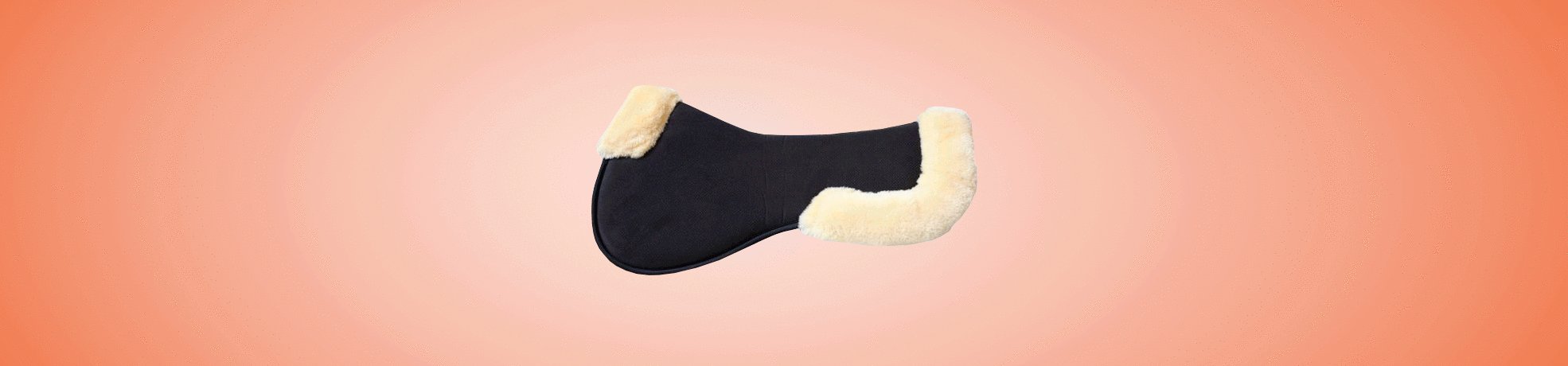 Amortisseurs Kentucky