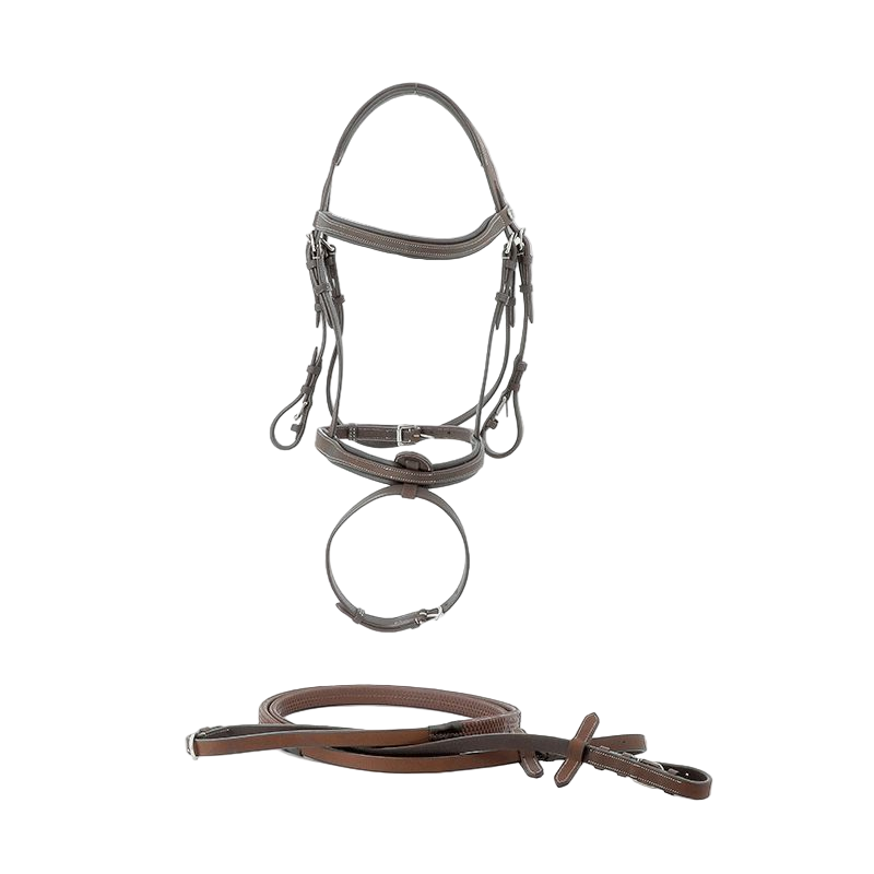 Privilege Equitation - Bridon Cabourg combiné avec rênes marron