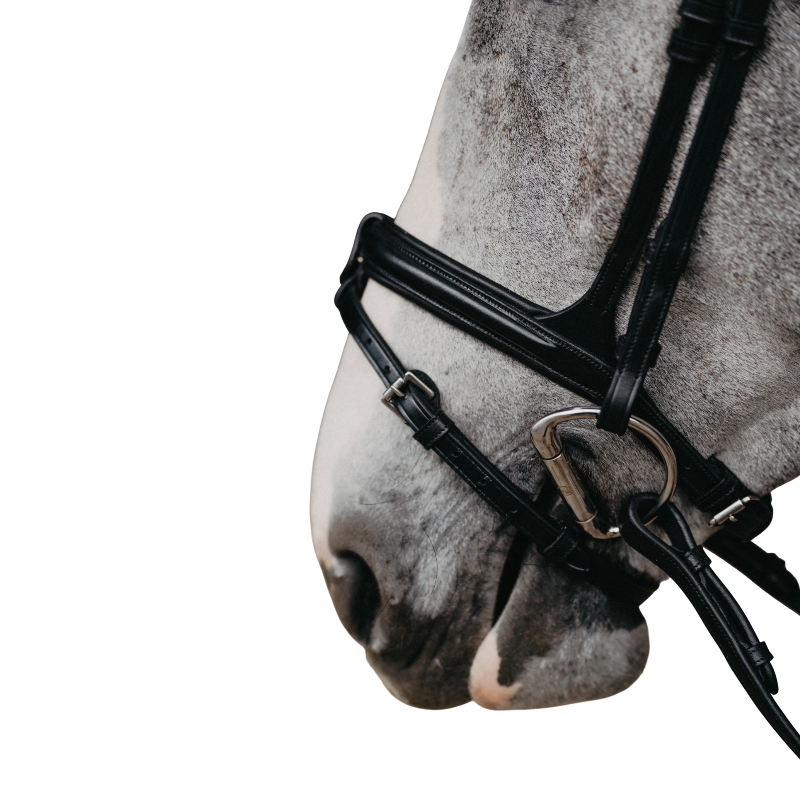 Jump'In - Muserolle combinée Evolution noir