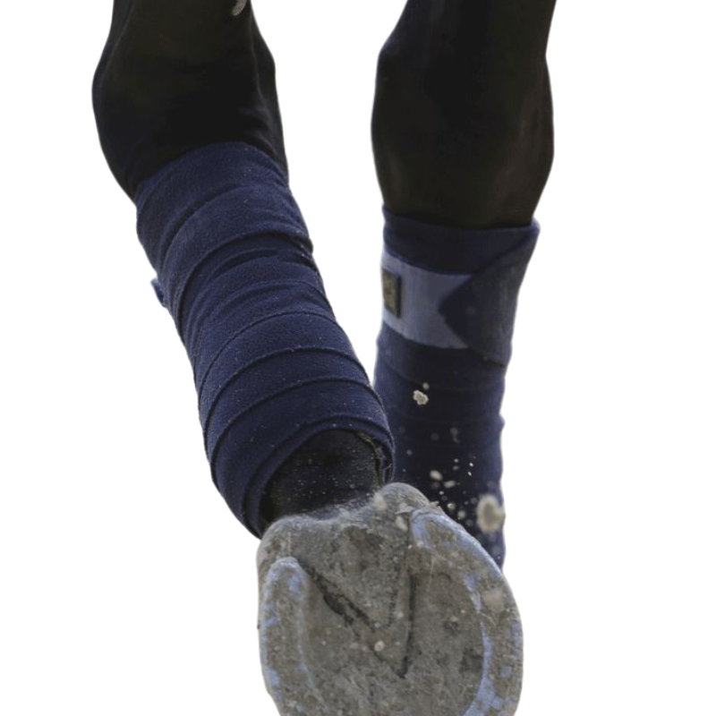 Kentucky Horsewear - Bandes de polo marine (x4) | - Ohlala