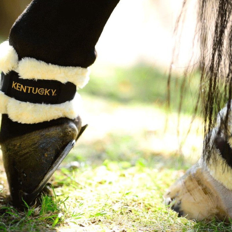 Kentucky Horsewear - Protège-paturons mouton | - Ohlala