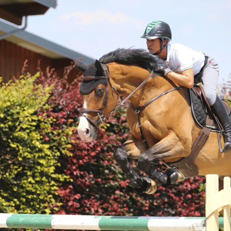 Kentucky Horsewear - Sangle bavette marron | - Ohlala