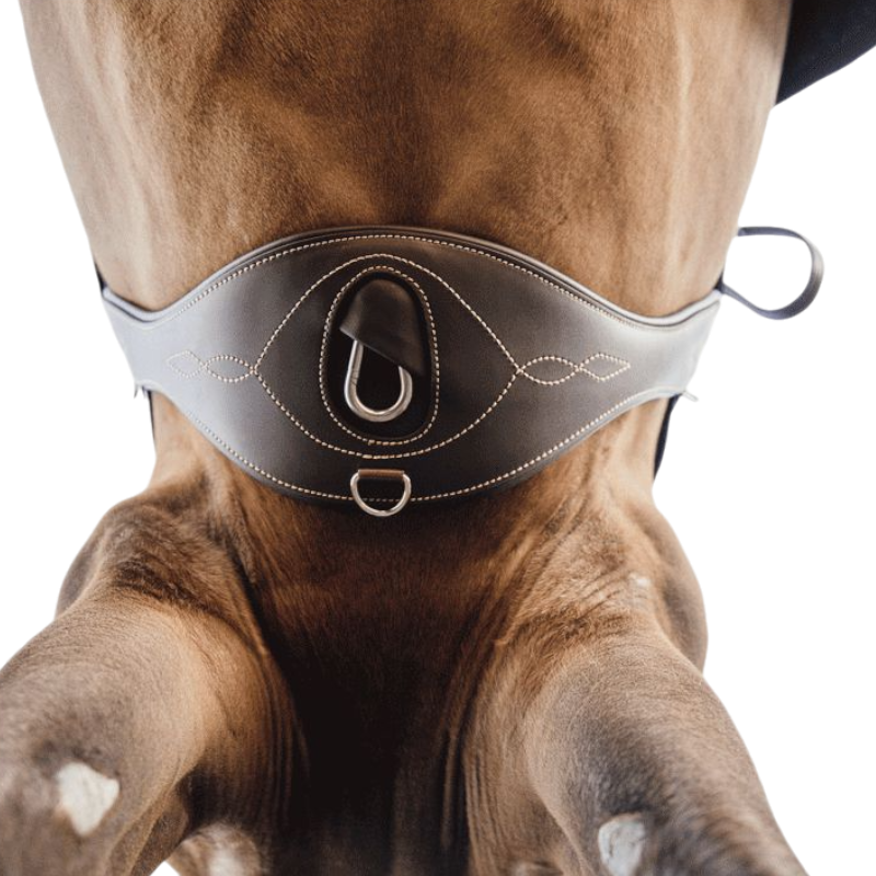 Kentucky Horsewear - Sangle anatomique marron | - Ohlala