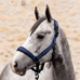 Licol K-ENTEBBE marine - K By Equithème
