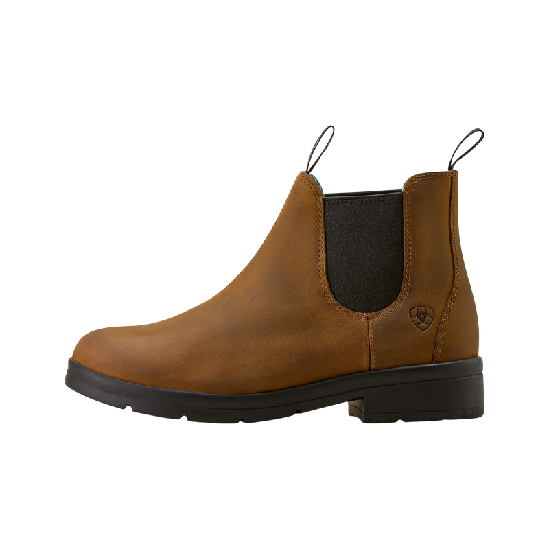 Ariat - Boots d'équitation enfant Chelsea Whitby chocolate