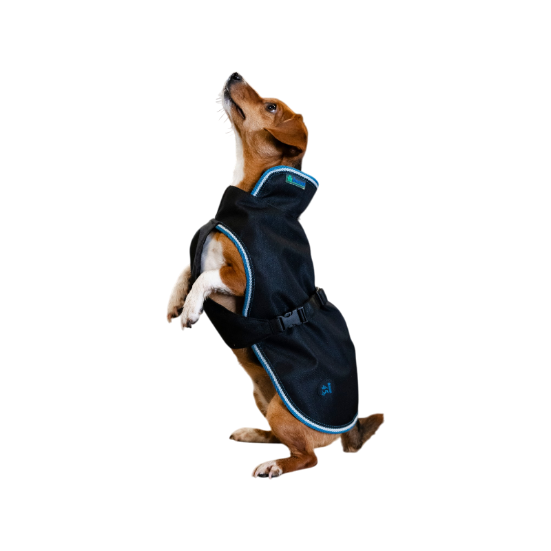 Bucas - Couverture pour chien Anniversary sapphire