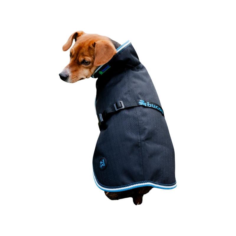 Bucas - Couverture pour chien Anniversary sapphire