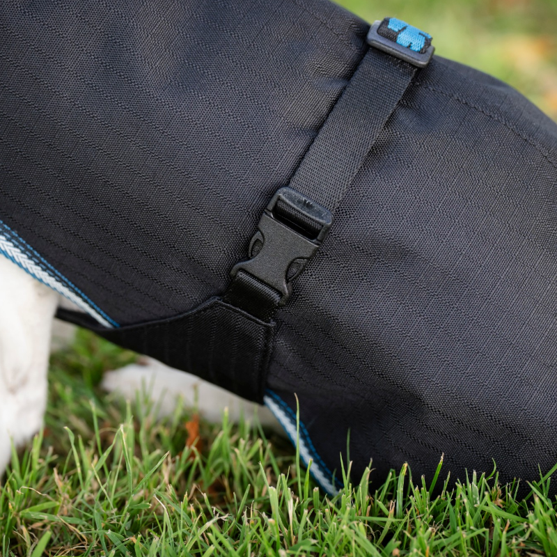 Bucas - Couverture pour chien Anniversary sapphire