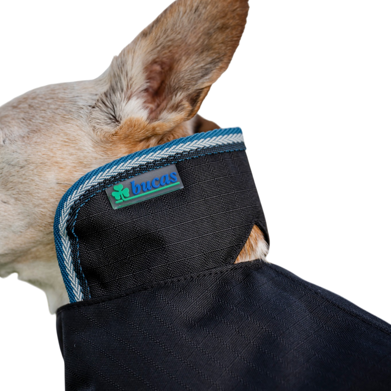 Bucas - Couverture pour chien Anniversary sapphire