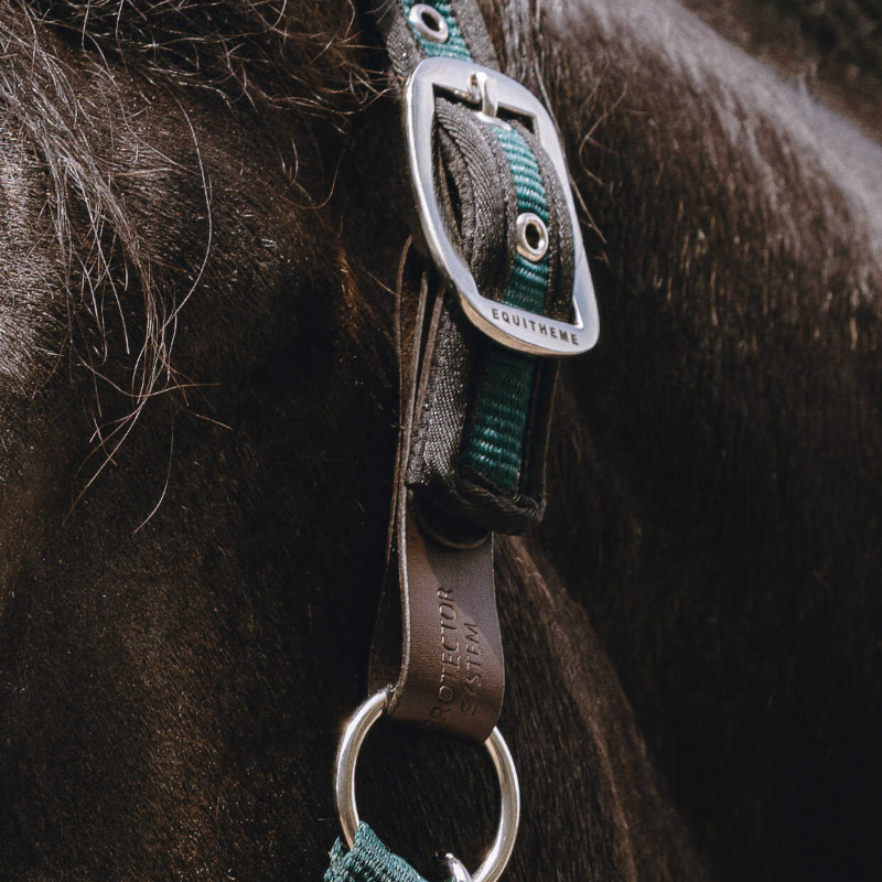 Equithème - Attache de sécurité Protector marron