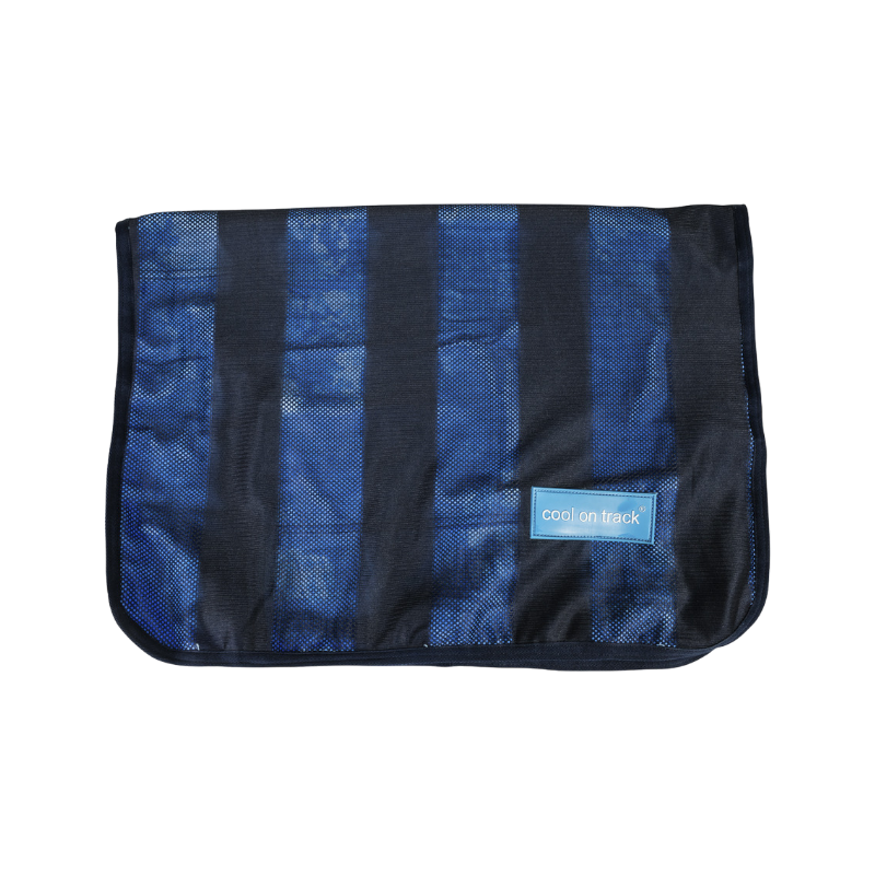 Back on Track - Serviette rafraichissante | - Ohlala