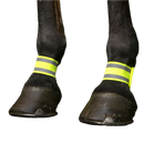 Norton - Voorbandages fluogeel | - Ohlala