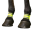 Norton - Voorbandages fluogeel | - Ohlala