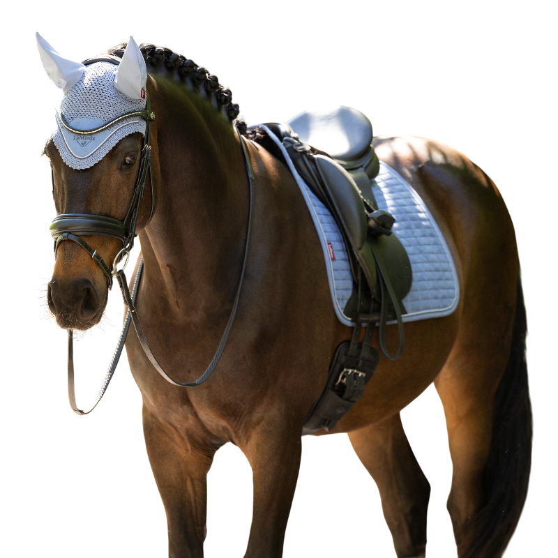 LeMieux - Paardenmuts Classic powder blue | - Ohlala
