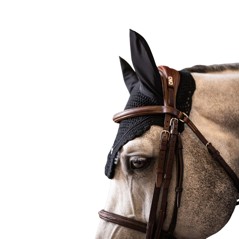Samshield - Bonnet pour chevaux Embroidery noir | - Ohlala
