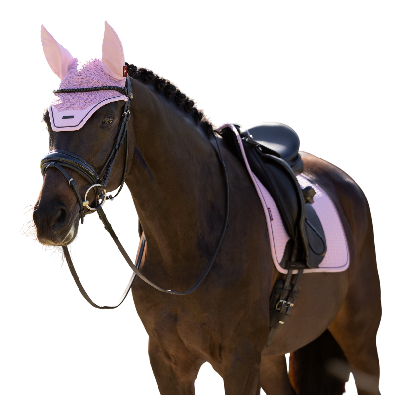 LeMieux - Paardenoor Essence fondant | - Ohlala