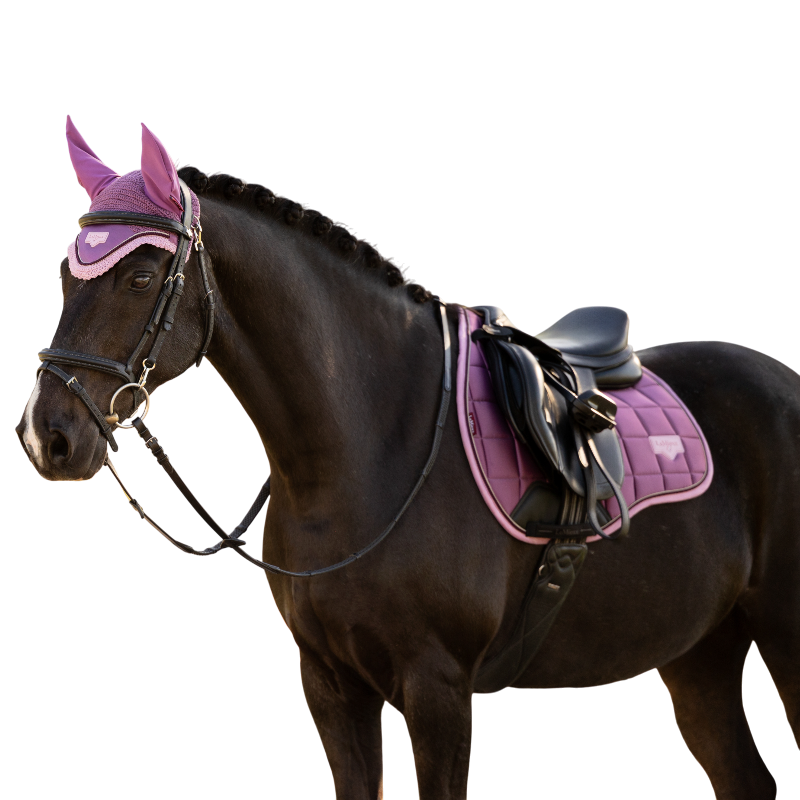 LeMieux - Bonnet pour chevaux Loire mallow | - Ohlala