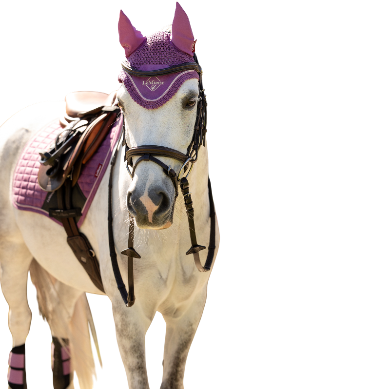 LeMieux - Mini Classic paardenoor mallow | - Ohlala