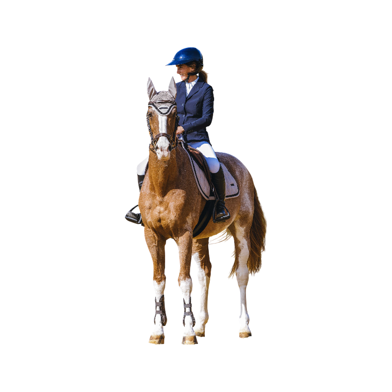 Equithème - Bonnet pour chevaux Pearl taupe | - Ohlala