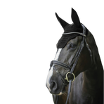 Paddock Sports - Pro katoenen oornetje zwart | - Ohlala