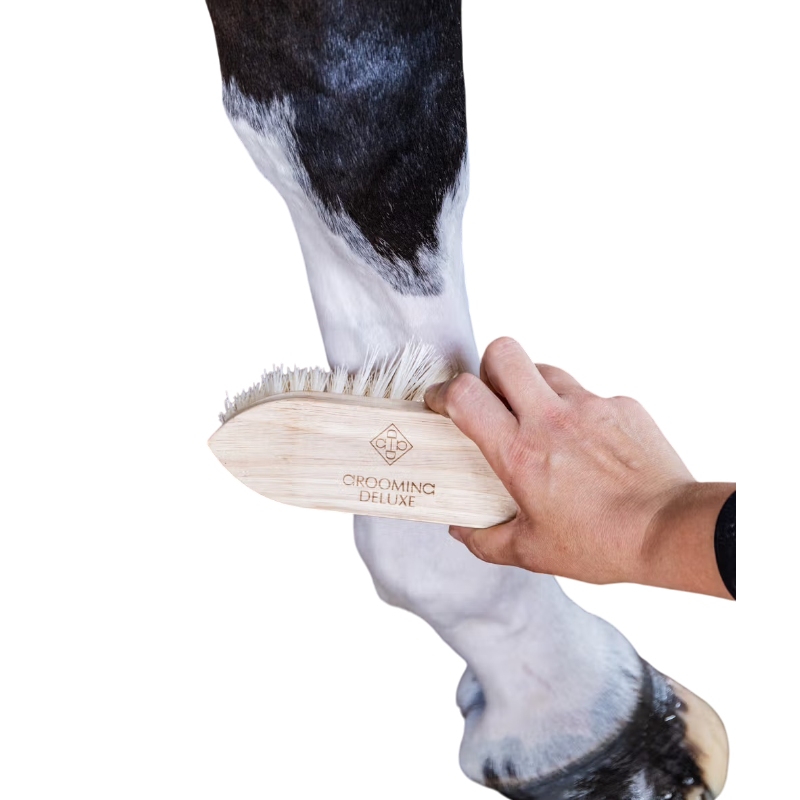 Grooming Deluxe - Bouchon en bois à poils courts et durs naturel