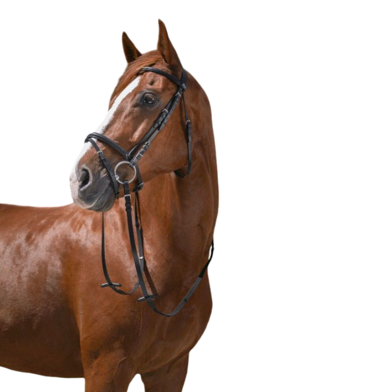 Riding World - Bridon Muserolle Combinée noir avec rênes | - Ohlala