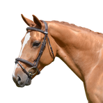 Jump'In - Week Crystal hoofdstel met teugels havana | - Ohlala