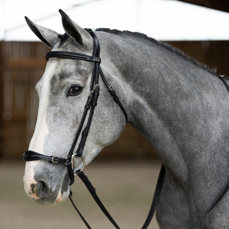 Jump'In - Bridon muserolle allemande Evolution noisette