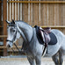 Jump'In - Hoofdstel Duitse neusriem Evolution zwart | - Ohlala