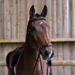 Jump'In - Hoofdstel duitse neusriem Evolution hazelnoot | - Ohlala