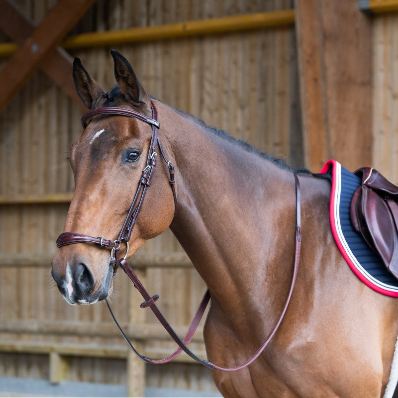 Jump'In - Bridon muserolle allemande Evolution noisette