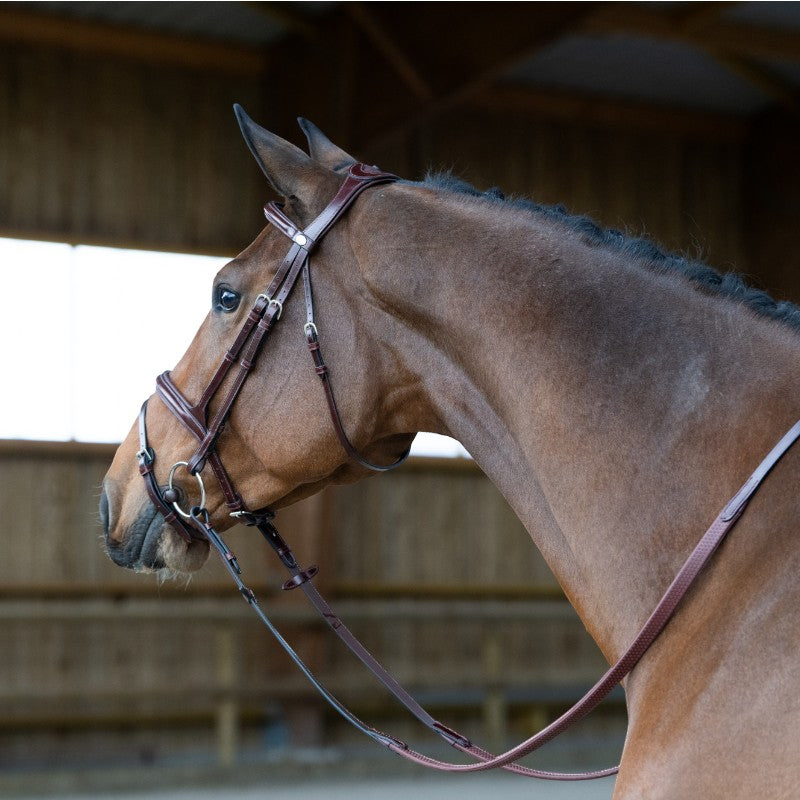 Jump'In - Bridon muserolle combinée Evolution noisette