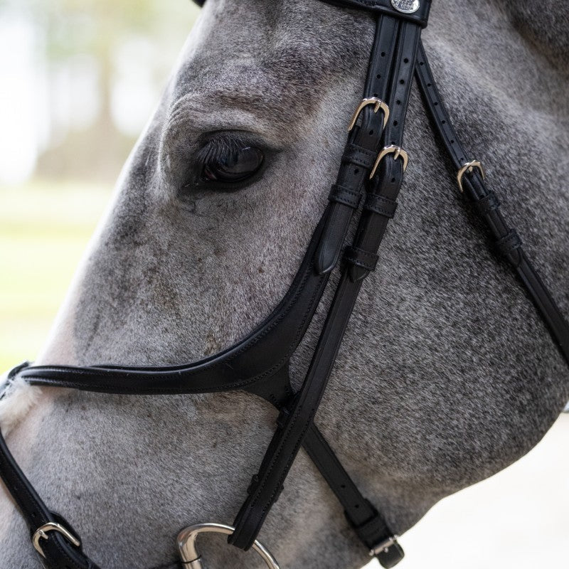 Jump'In - Bridon muserolle croisée Evolution noir