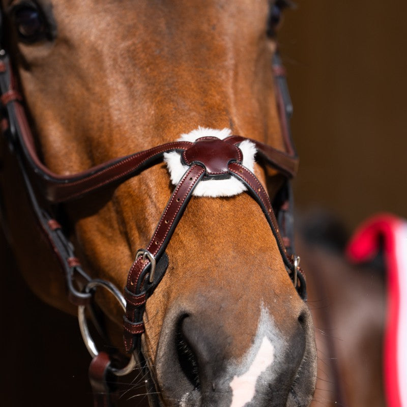 Jump'In - Bridon muserolle croisée Evolution noisette