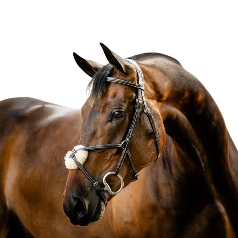 Horseware - Bridon muserolle croisée Figure marron | - Ohlala