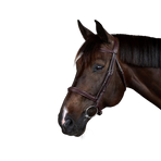 Dyon - Bridon New English Collection marron | - Ohlala