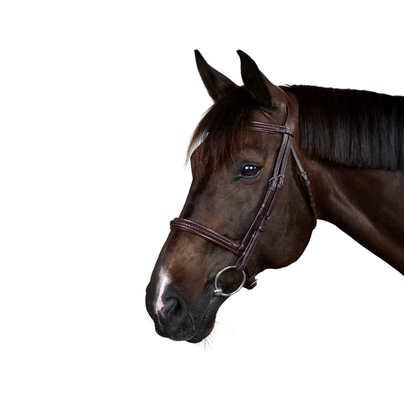 Dyon - Bridon New English Collection marron