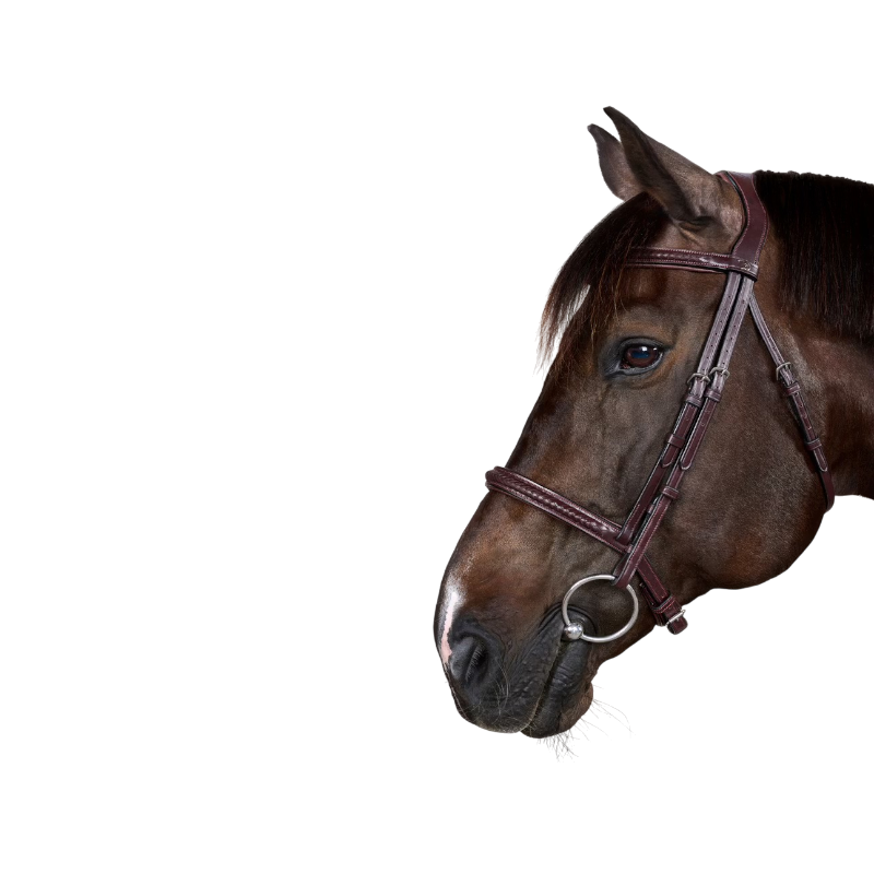 Dyon - Bridon New English Collection marron