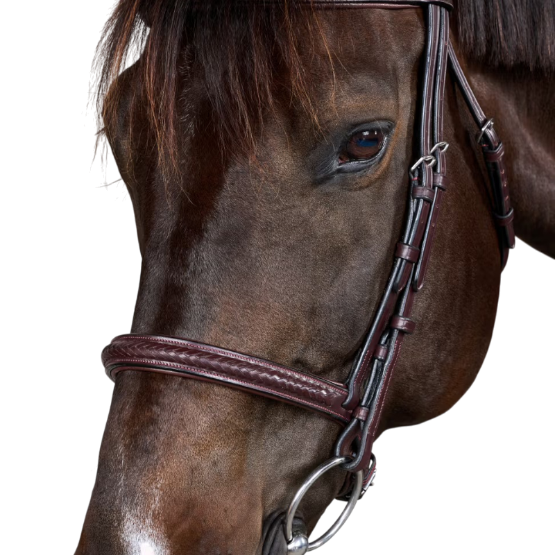 Dyon - Bridon New English Collection marron