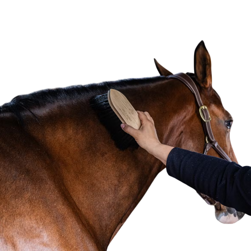 Grooming Deluxe - Brosse douce en bois à poils long noir