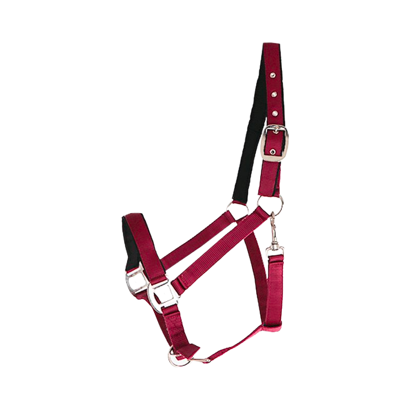 Canter - Licol nylon doublé bordeaux