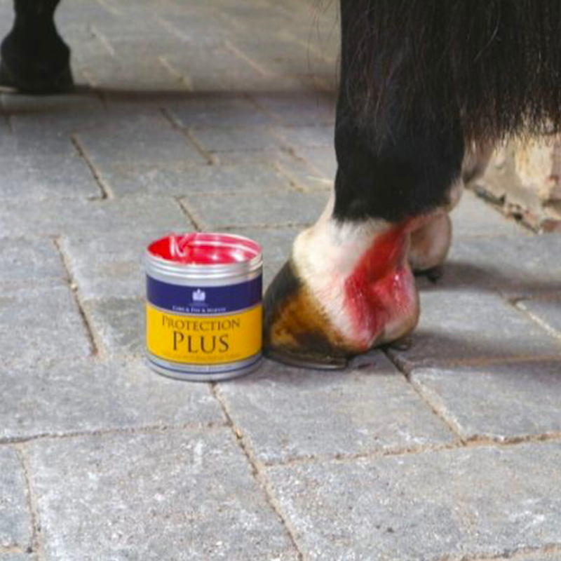 Carr & Day & Martin - Crème Protection Plus | - Ohlala