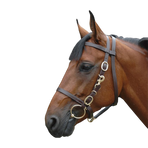 Canter - Bridon halster breed paard bruin | - Ohlala